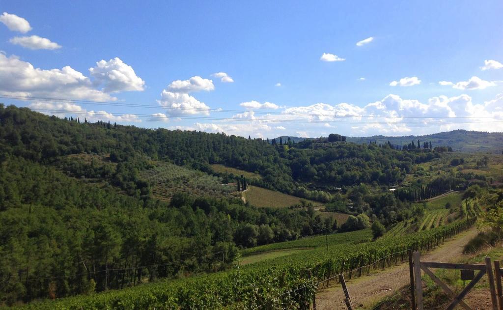 Agriturismo La Camporena 그레베 인 키안티 외부 사진